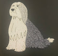 Felt Beardie