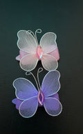 Large Butterly